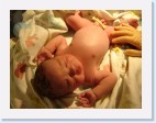 DSC00185 * 2048 x 1536 * (1.54MB)