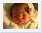 DSC00194 * 2048 x 1536 * (1.51MB)