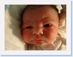 DSC00195 * 2048 x 1536 * (1.27MB)