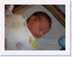 DSC00250 * 2048 x 1536 * (1.48MB)