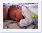 DSC00263 * 2048 x 1536 * (1.45MB)
