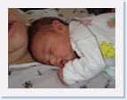 DSC00264 * 2048 x 1536 * (1.37MB)