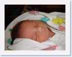 DSC00277 * 2048 x 1536 * (1.46MB)