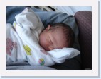 DSC00299 * 2048 x 1536 * (1.38MB)