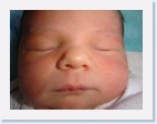 DSC00304 * 2048 x 1536 * (1.42MB)