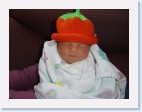DSC00317 * 2048 x 1536 * (1.42MB)