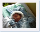 DSC00379 * 2048 x 1536 * (1.48MB)