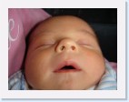 DSC00404 * 2048 x 1536 * (1.3MB)
