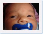 DSC00408 * 2048 x 1536 * (1.39MB)