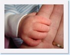 DSC00411 * 2048 x 1536 * (1.37MB)