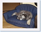 DSC00430 * 2048 x 1536 * (1.44MB)