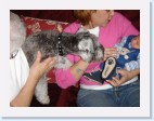 DSC00434 * 2048 x 1536 * (1.34MB)