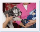 DSC00436 * 2048 x 1536 * (1.43MB)