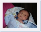 DSC00442 * 2048 x 1536 * (1.4MB)