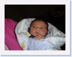 DSC00444 * 2048 x 1536 * (1.1MB)