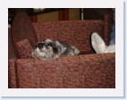 DSC00467 * 2048 x 1536 * (1.47MB)