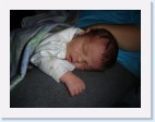 DSC00479 * 2048 x 1536 * (1.29MB)