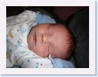 DSC00504 * 2048 x 1536 * (1.56MB)