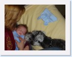 DSC00526 * 2048 x 1536 * (1.39MB)