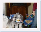 DSC00527 * 2048 x 1536 * (1.43MB)