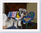 DSC00528 * 2048 x 1536 * (1.44MB)