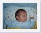 DSC00530 * 2048 x 1536 * (1.41MB)