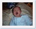 DSC00533 * 2048 x 1536 * (1.35MB)
