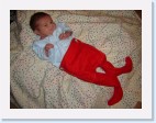 DSC00537 * 2048 x 1536 * (1.3MB)