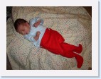 DSC00538 * 2048 x 1536 * (1.3MB)