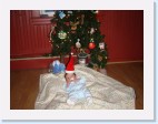 DSC00551 * 2048 x 1536 * (1.3MB)