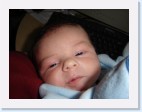 DSC00558 * 2048 x 1536 * (1.3MB)