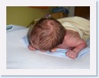 DSC00560 * 2048 x 1536 * (1.41MB)