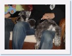 DSC00575 * 2048 x 1536 * (1.39MB)