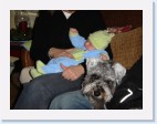 DSC00578 * 2048 x 1536 * (1.42MB)