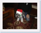 DSC00580 * 2048 x 1536 * (1.4MB)
