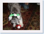 DSC00582 * 2048 x 1536 * (1.38MB)