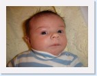 DSC00631 * 2048 x 1536 * (1.33MB)