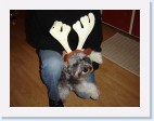 DSC00668 * 2048 x 1536 * (1.35MB)