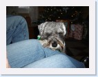 DSC00680 * 2048 x 1536 * (1.52MB)