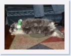 DSC00693 * 2048 x 1536 * (1.46MB)