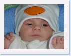 DSC00733 * 2048 x 1536 * (1.33MB)