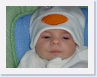 DSC00734 * 2048 x 1536 * (1.34MB)