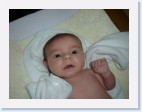 DSC00779 * 2048 x 1536 * (1.31MB)