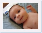 DSC00789 * 2048 x 1536 * (1.4MB)