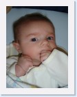 DSC00915 * 1536 x 2048 * (1.31MB)