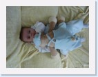 DSC01130 * 2304 x 1728 * (1.9MB)
