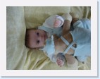 DSC01131 * 2304 x 1728 * (1.59MB)