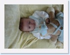 DSC01133 * 2304 x 1728 * (1.58MB)
