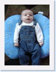 DSC01178 * 1536 x 2048 * (1.37MB)