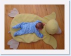 DSC01240 * 2048 x 1536 * (1.44MB)